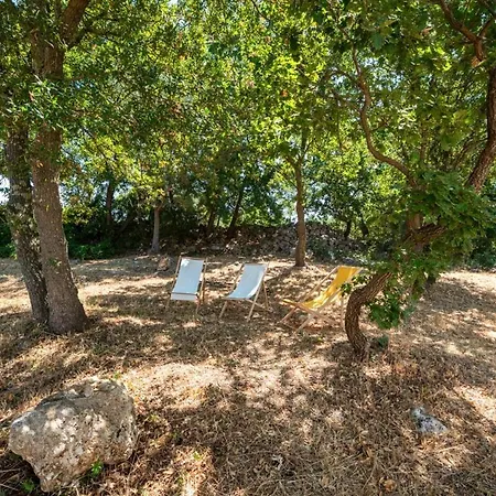 Maison Sessana With Solarium & Olive Grove *