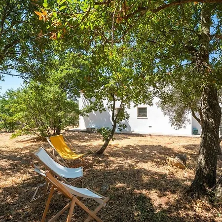 Maison Sessana With Solarium & Olive Grove Ostuni